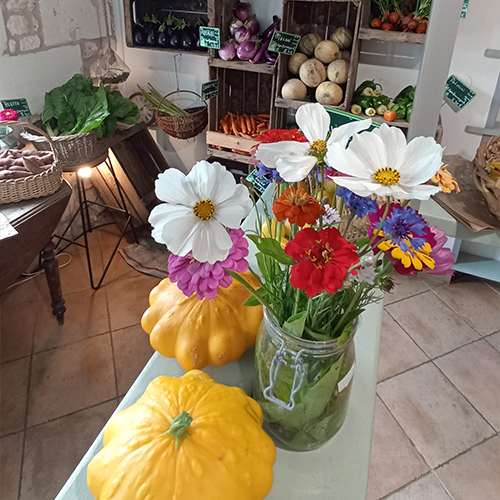 Les jolies fleurs des jardins