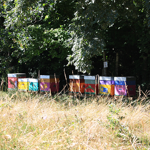 Les ruches des Potagers